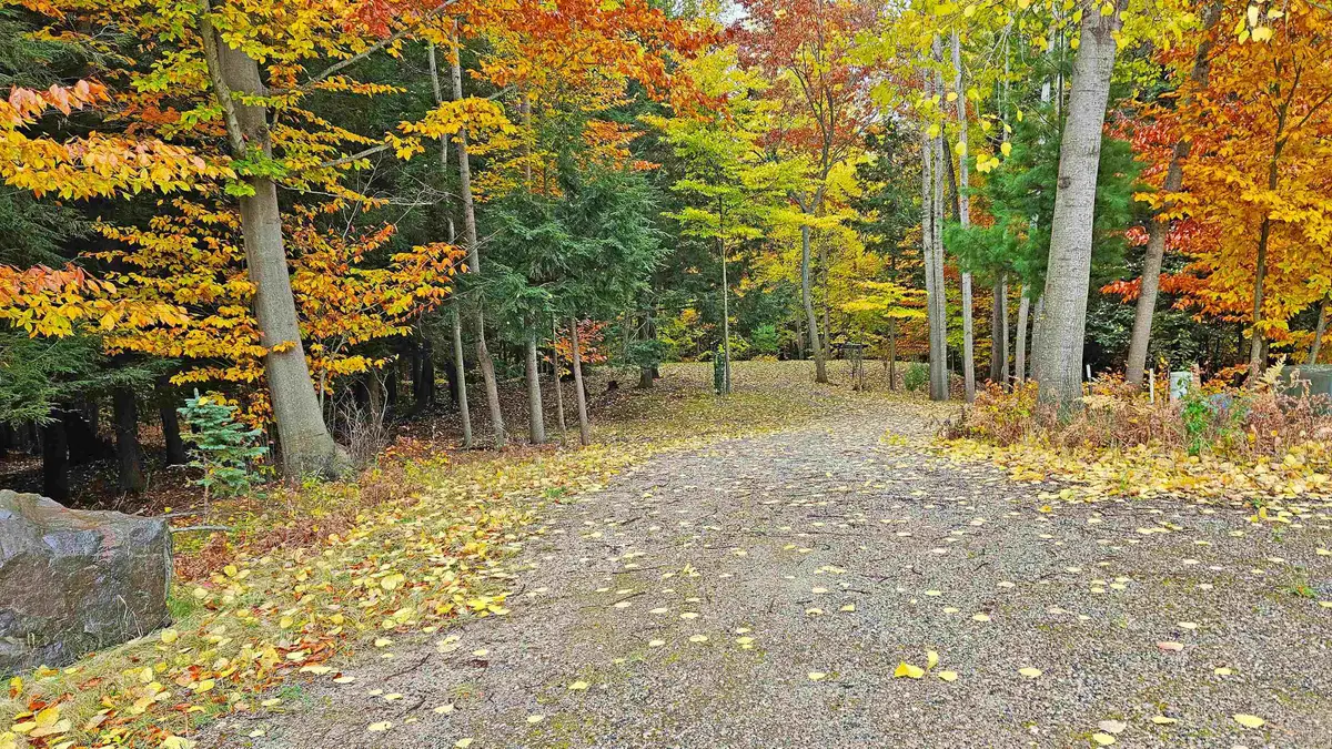 Moon Ridge, Onekama, MI 49675 - #1