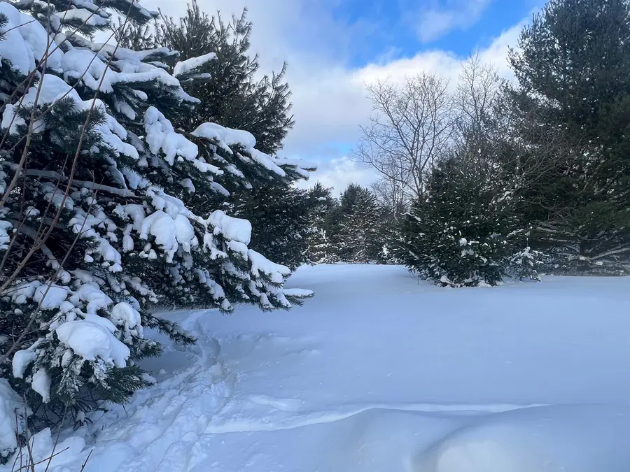 3690 County Road 571, Kalkaska, MI 49646 - #3