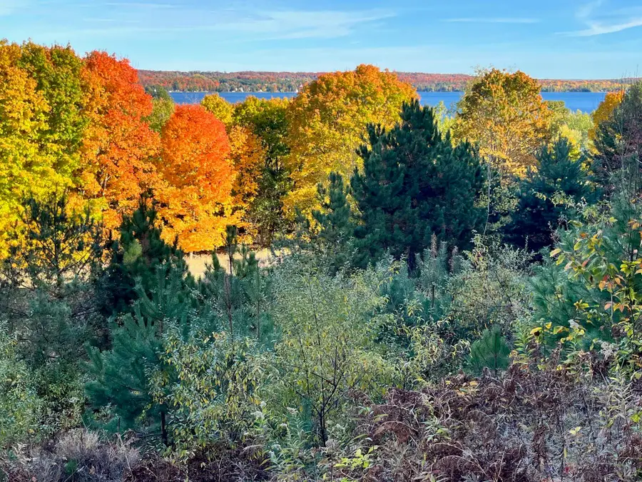 00 E Hidden Beech, Cedar, MI 49621 - #2