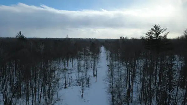 1319 Laporte, Alger, MI 48610