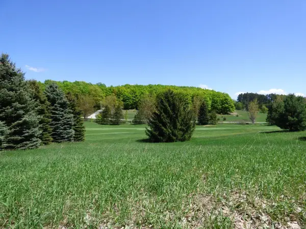 Unit 37 Golf Meadows, Bellaire, MI 49615