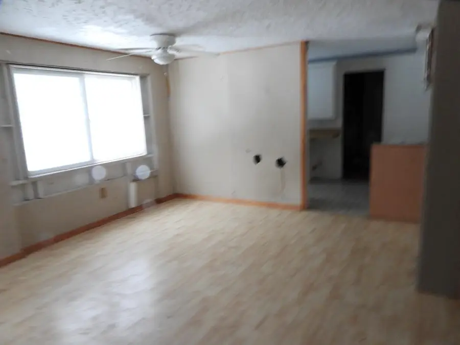 13788 Brethren Heights, Brethren, MI 49619 - #2