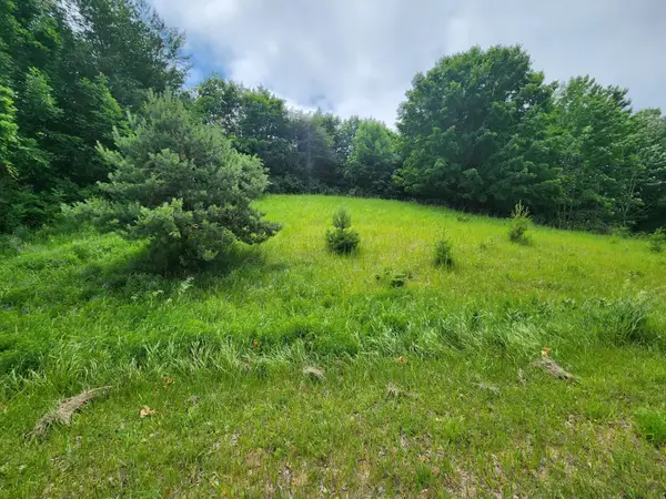 0000 Deer Ridge, Beulah, MI 49617