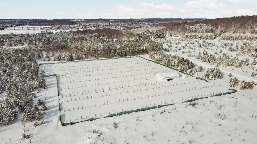 808 Kresnak, Mancelona, MI 49659 - #3