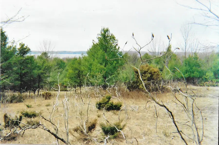 Parcel B Alden, Alden, MI 49612 - #3