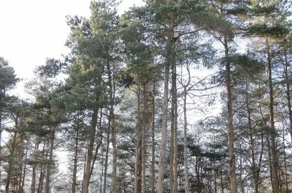 C Garfield, Kingsley, MI 49649