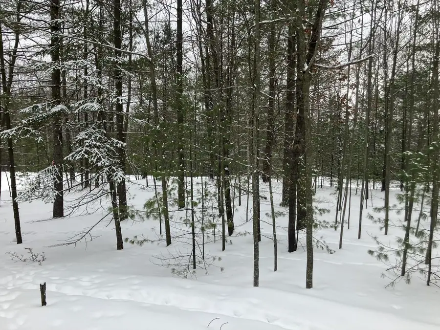 VL Wilderness, Alger, MI 48610 - Image #2