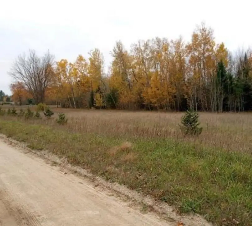 000 Bennett, Williamsburg, MI 49690 - Image #3