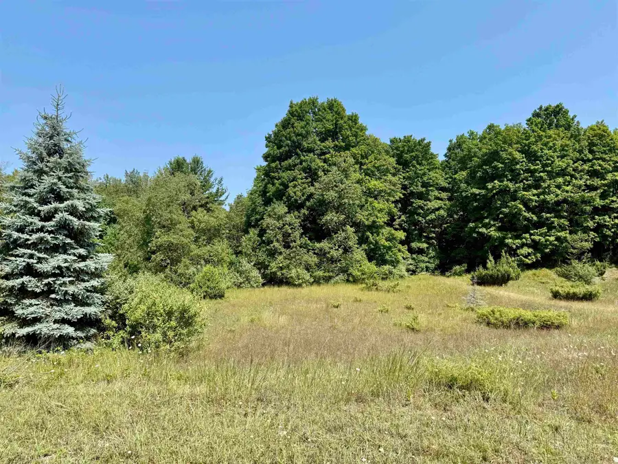 00 Alden Meadows, Alden, MI 49612 - #3