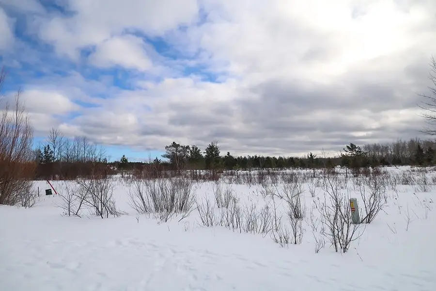 6436 Lora Bette, Alanson, MI 49706 - #2