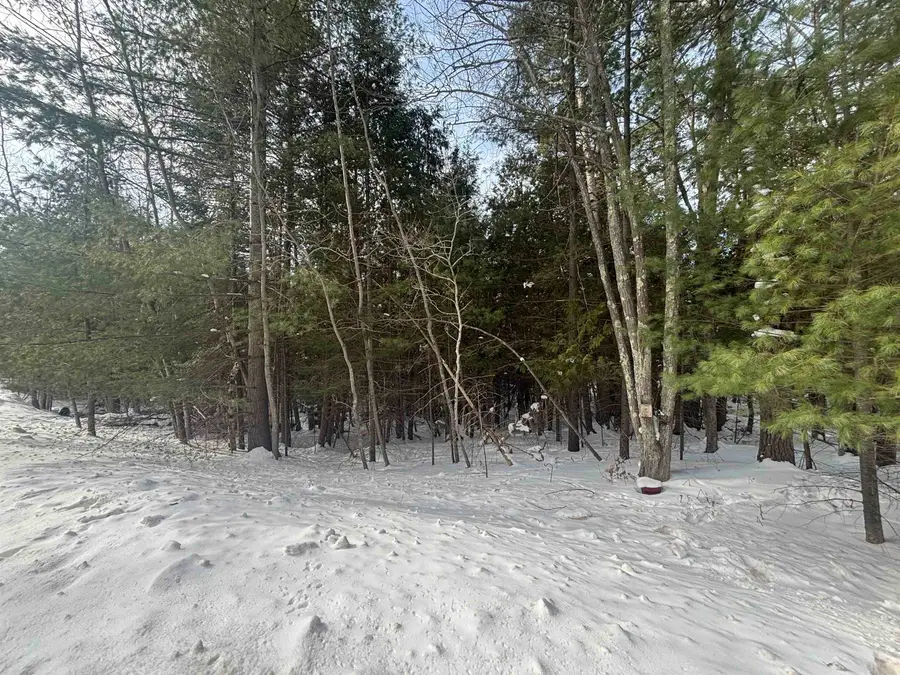 4715 Springbrook, Williamsburg, MI 49690 - #3