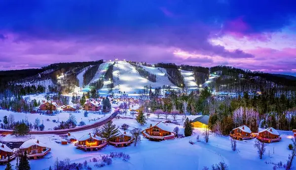 6520 Schuss Mountain #209, Mancelona, MI 49659