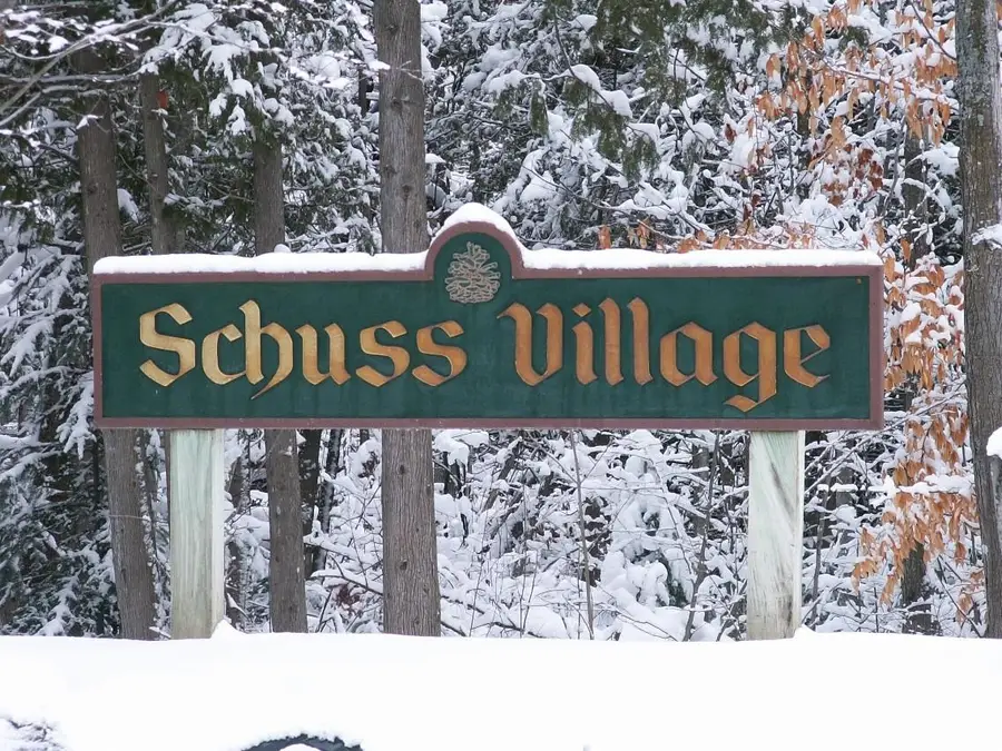 6520 Schuss Mountain #209, Mancelona, MI 49659 - #2