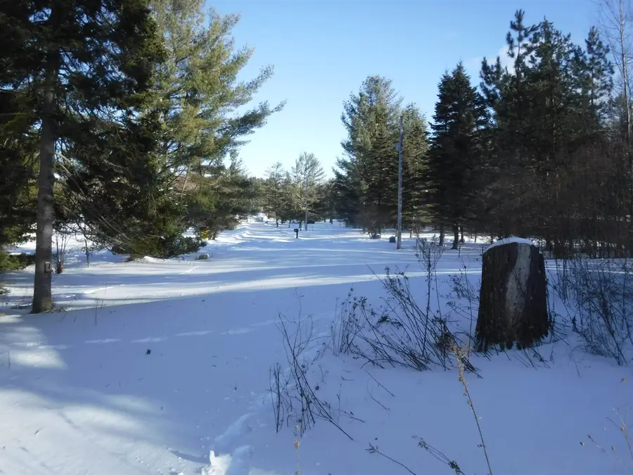 3084 Sylvan, South Branch, MI 48761 - #2