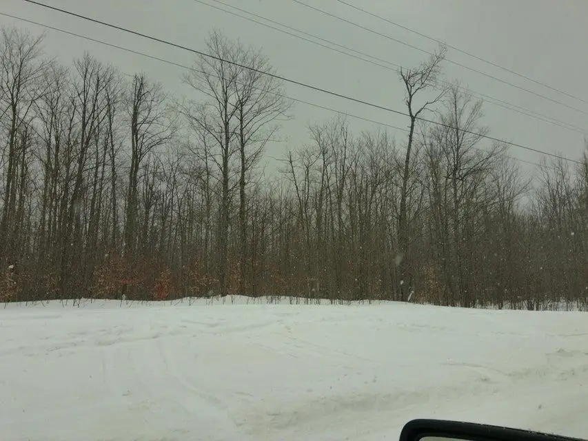 Parcel L Turtle Mill, Gaylord, MI 49735 - #3