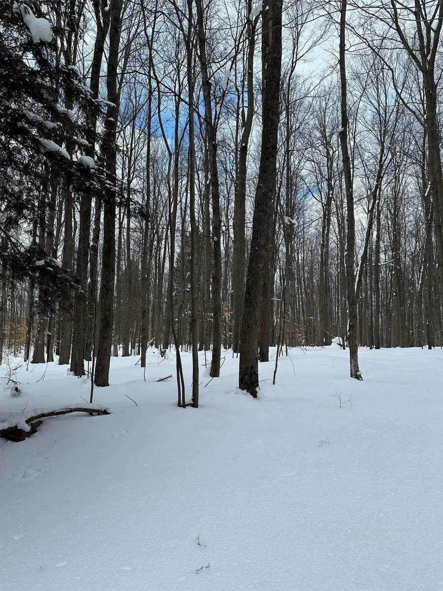 2392 SW Inman, South Boardman, MI 49680 - #3