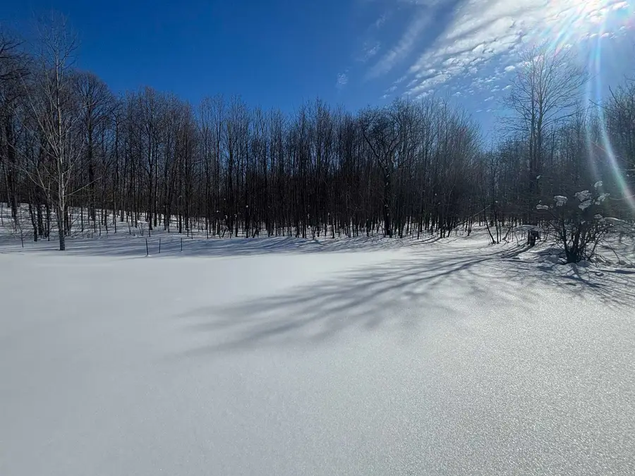 5884 Scholl, Mancelona, MI 49659 - #3