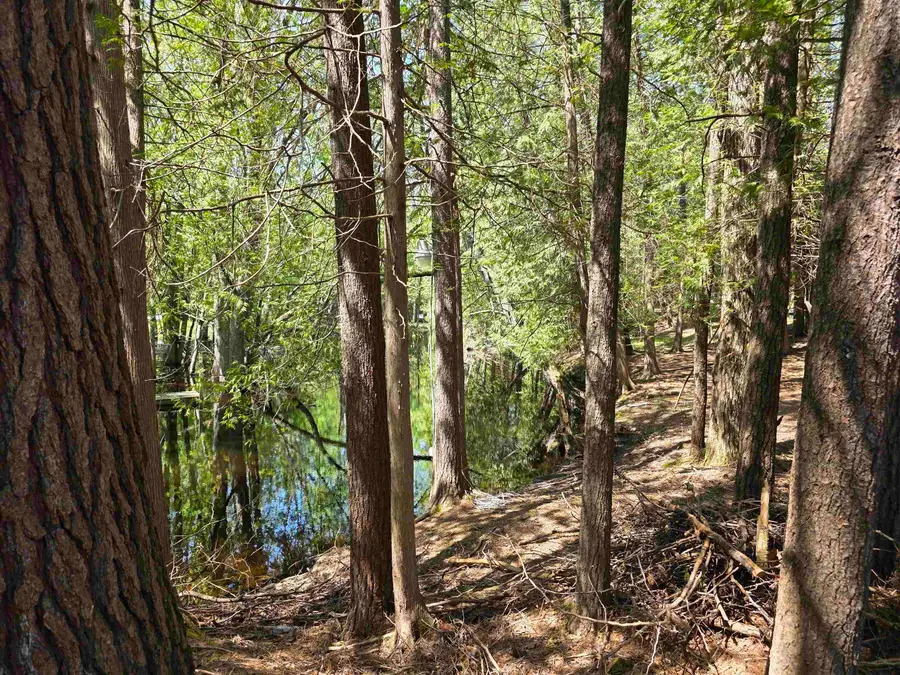 12506 E Shore, Millersburg, MI 49759 - #3