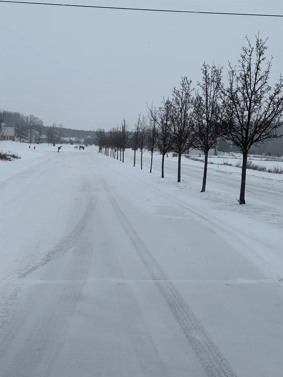 000 Pine Ridge, Mount Pleasant, MI 48858 - #2