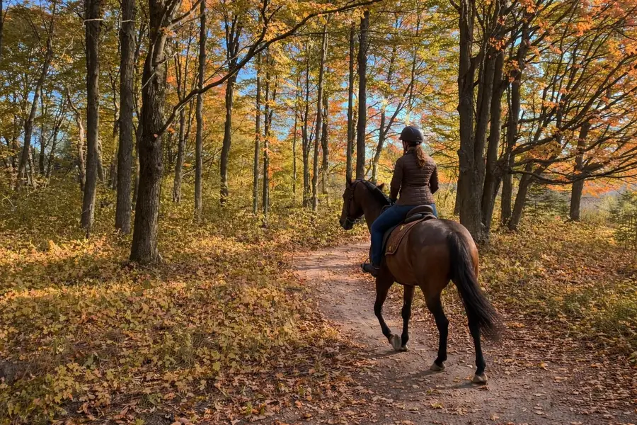 134 Menominee, Buckley, MI 49620 - #3