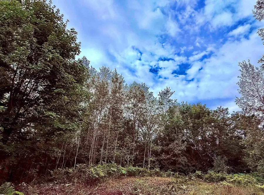 730 W M-113, Kingsley, MI 49649 - #3