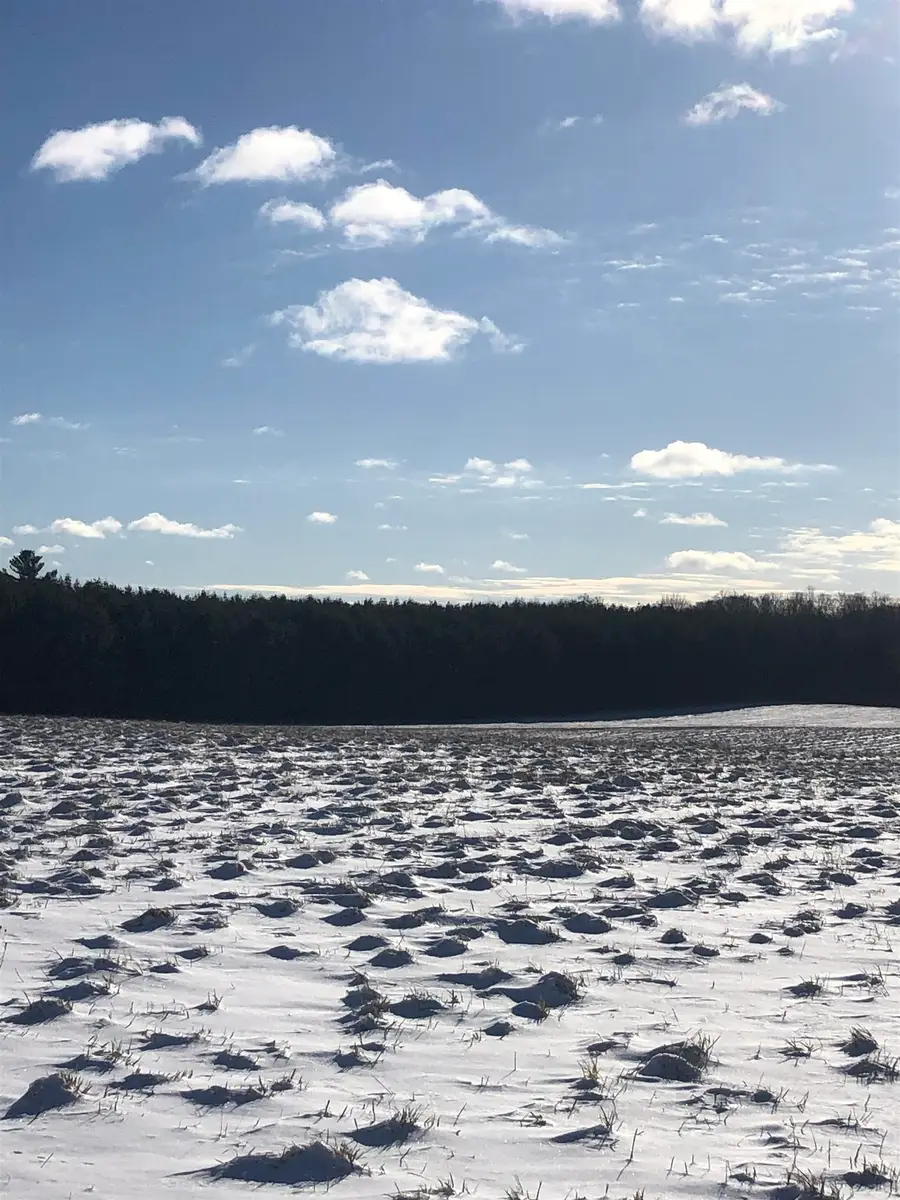 00 M-72, Kalkaska, MI 49646 - #2