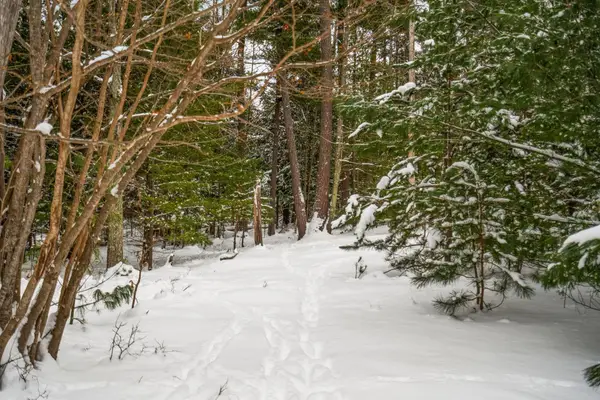 00 Business Park, Traverse City, MI 49686