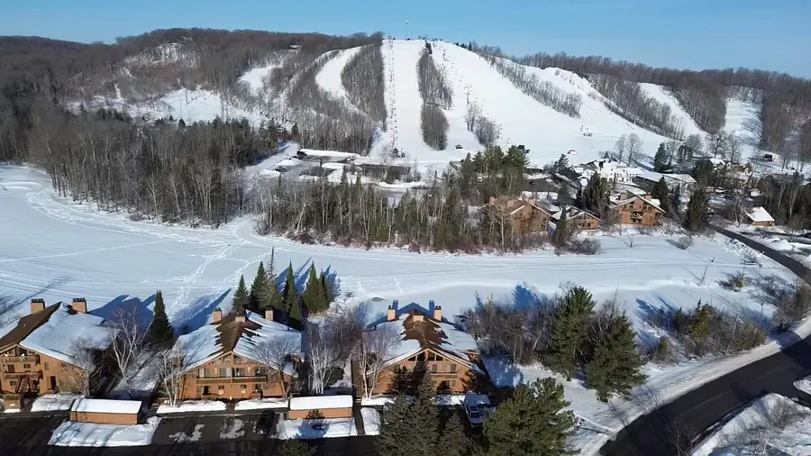 6658 Schuss Mountain #3251, Mancelona, MI 49659 - #2