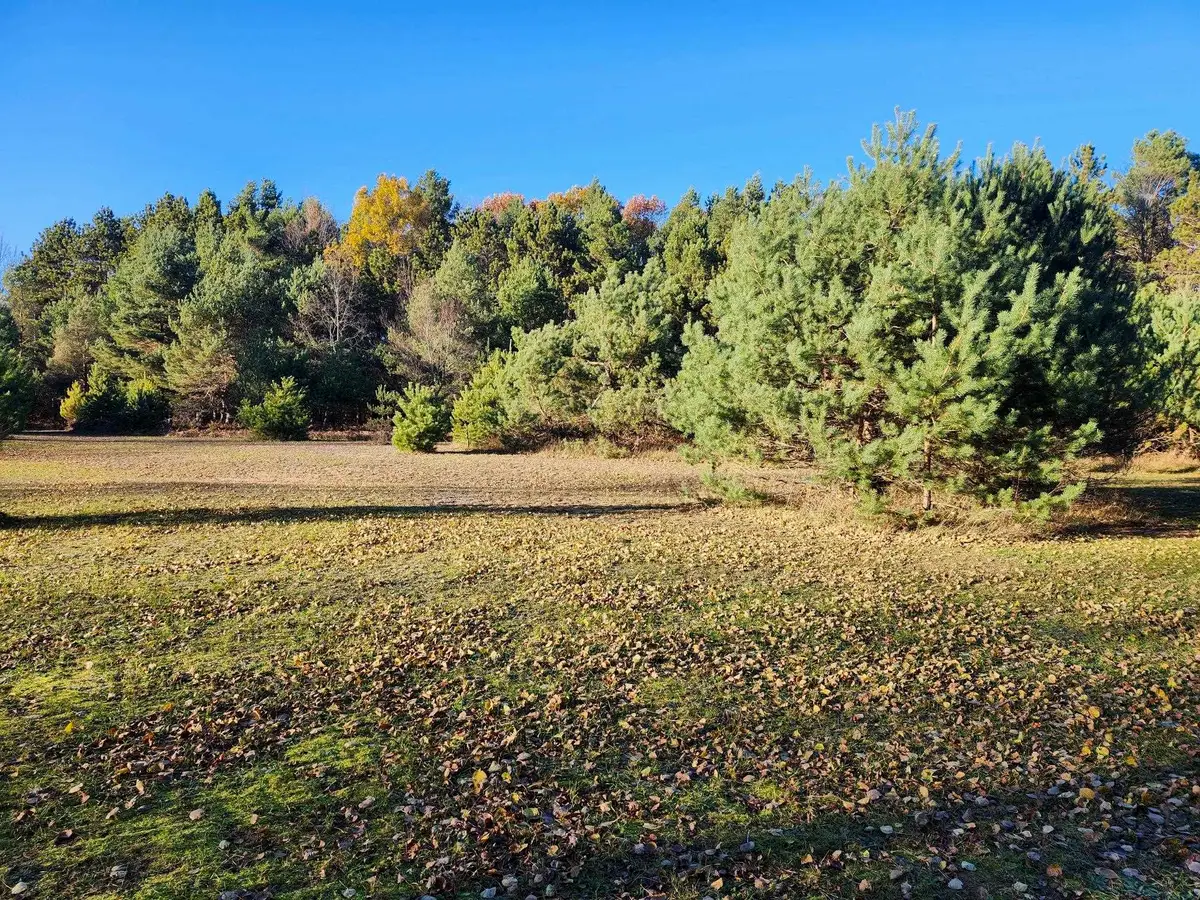 VL 9 Mile, Kaleva, MI 49645 - #1