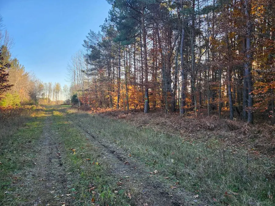 VL 9 Mile, Kaleva, MI 49645 - #2