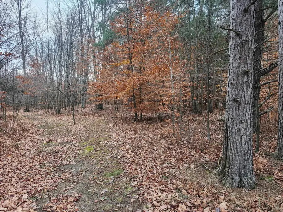 VL 9 Mile, Kaleva, MI 49645 - #3