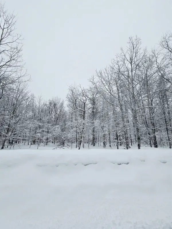 311 Parkridge, Mancelona, MI 49659