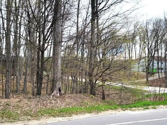 82 Bogey, Bellaire, MI 49615 - #3