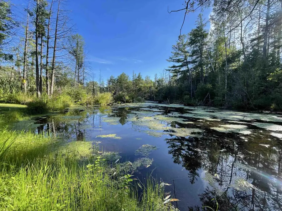 210 Spring, Kingsley, MI 49649 - #3