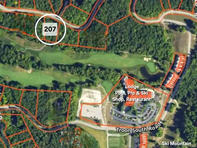 207 Shadow, Bellaire, MI 49615 - #2