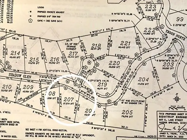 207 Shadow, Bellaire, MI 49615 - #3