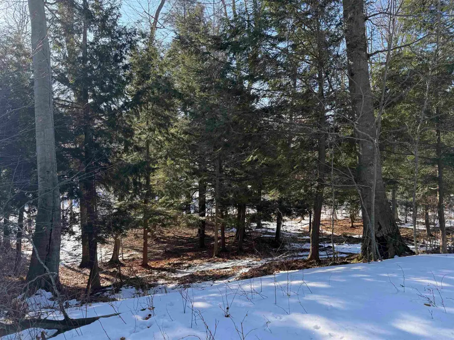 unit 7 Old, Frankfort, MI 49635 - #2