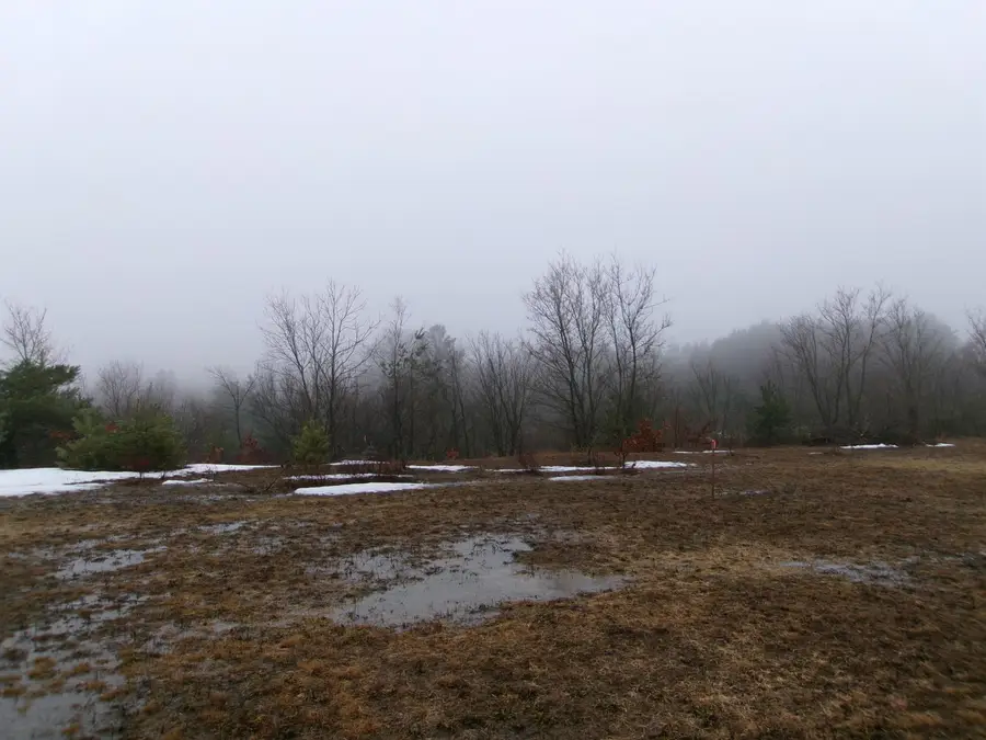 00 Second, Harrison, MI 48625 - #3