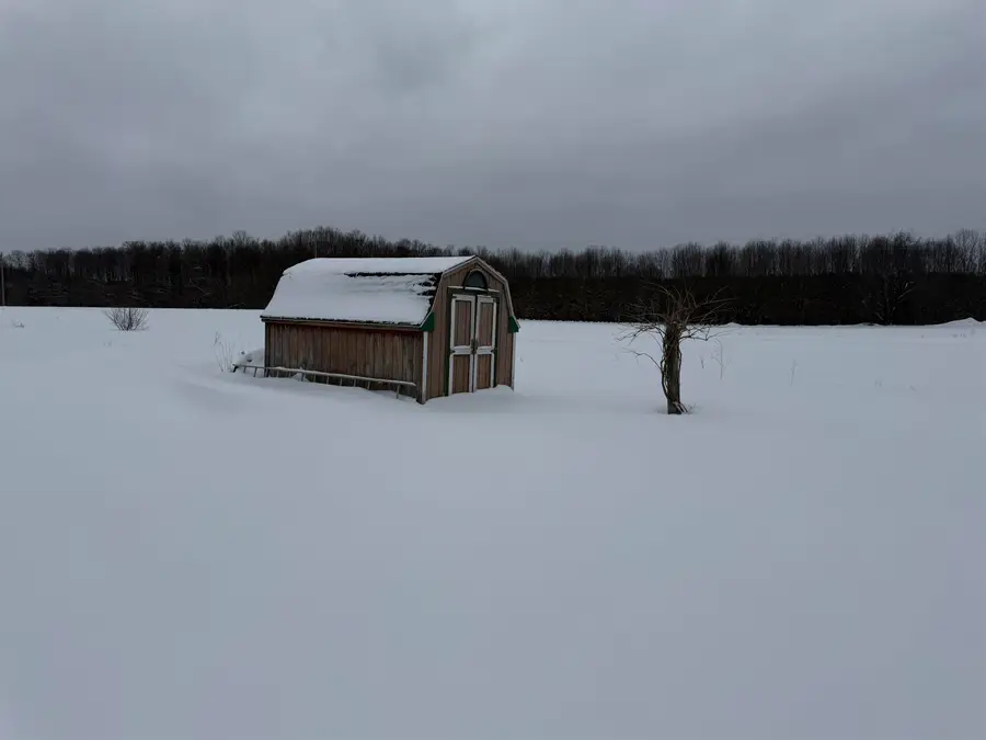 20347 Faylor, Copemish, MI 49625 - #3