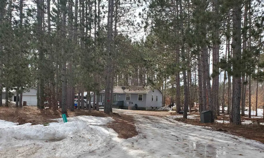 11756 SW Coster, Fife Lake, MI 49633 - #2
