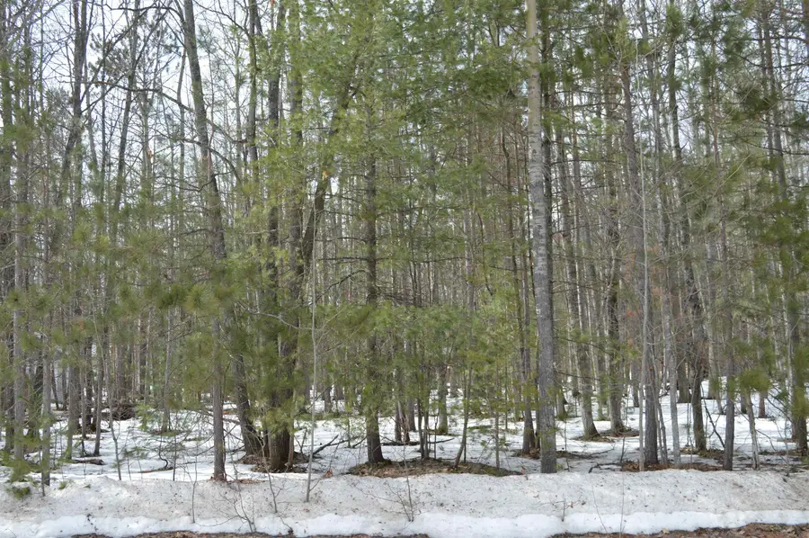 1949 Fairways, Kalkaska, MI 49646 - #2