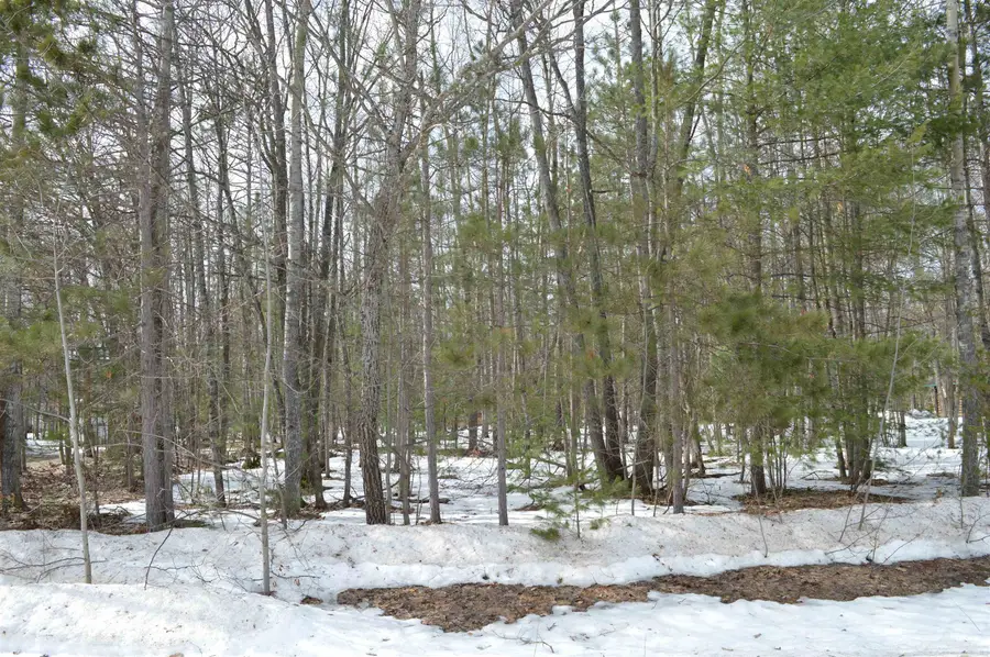 1949 Fairways, Kalkaska, MI 49646 - #3