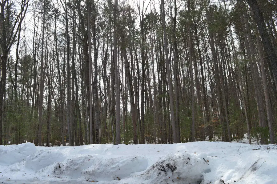 773 Golf Side, Kalkaska, MI 49646 - #3