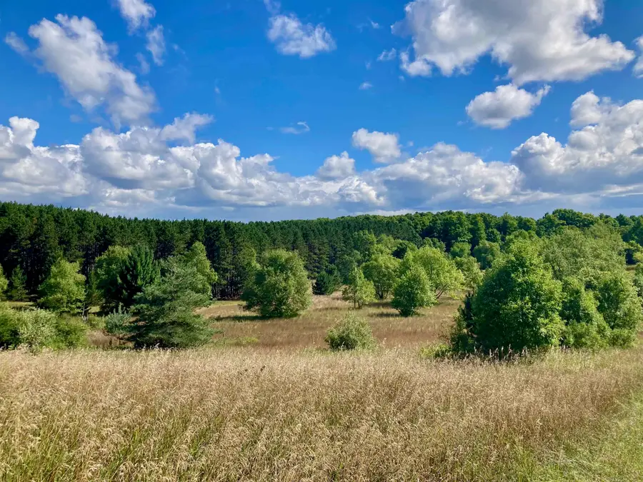 3800 N 13, Mesick, MI 49668 - #3