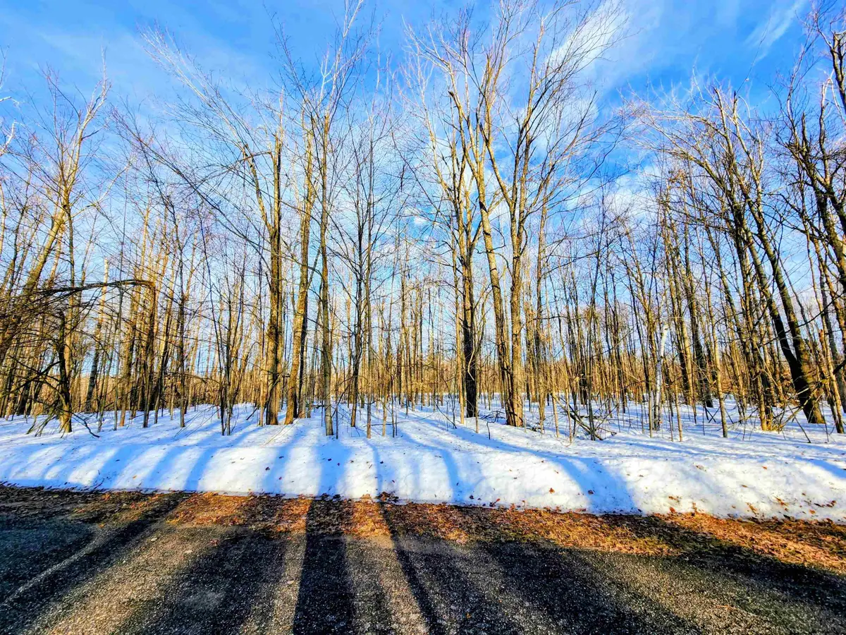 Lot 45 Terreton, Elmira, MI 49730 - #1