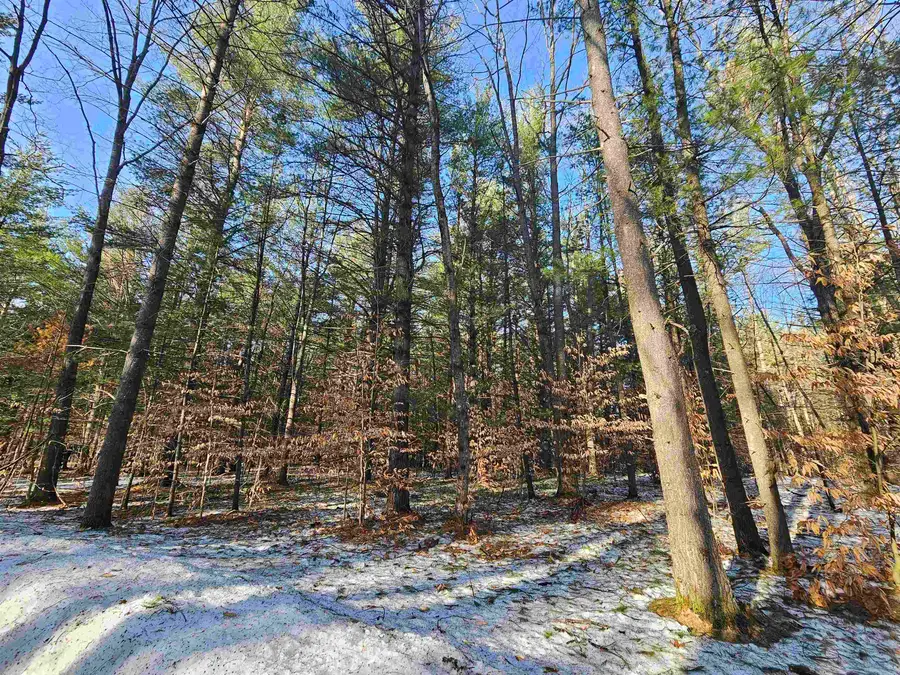 Lot 45 Woodwind, Cadillac, MI 49601 - #3