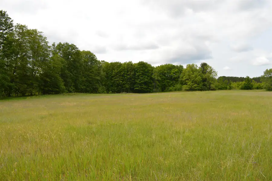 L Summit City, Kingsley, MI 49649 - #3