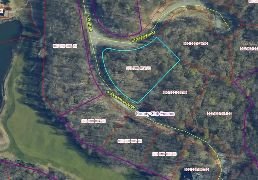 Lot 19 S Club, Cedar, MI 49621 - #1