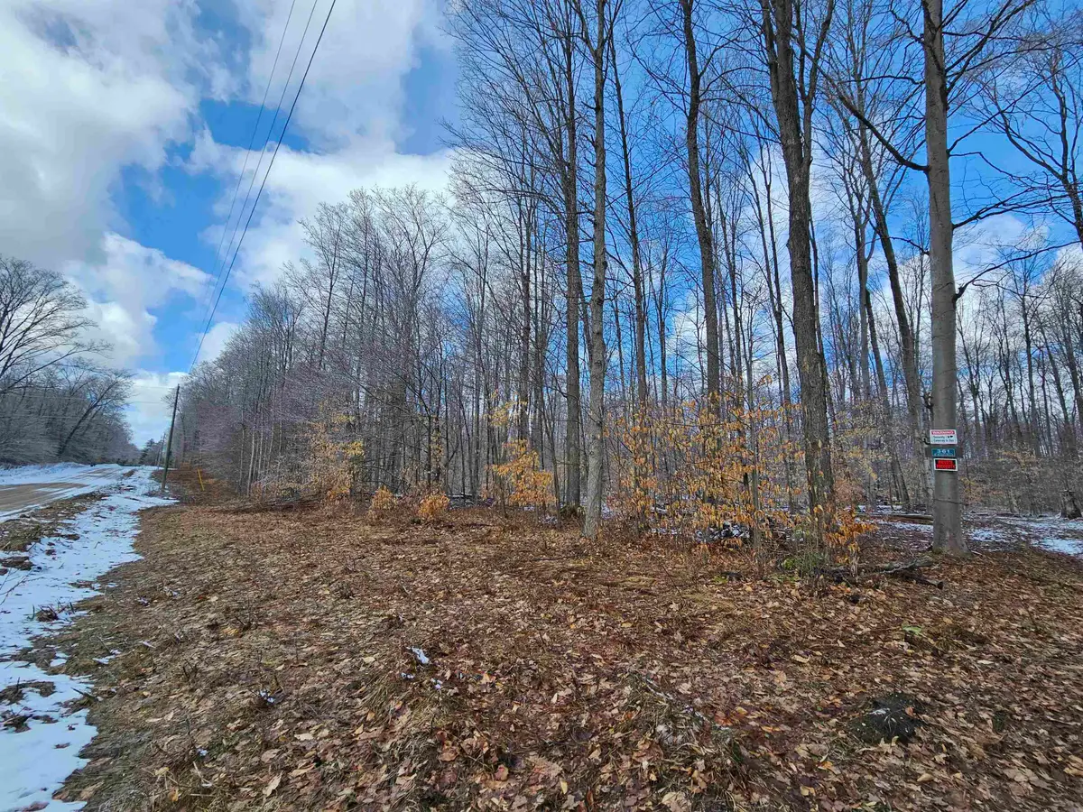 361 W Rhoby, Lake City, MI 49651 - #1