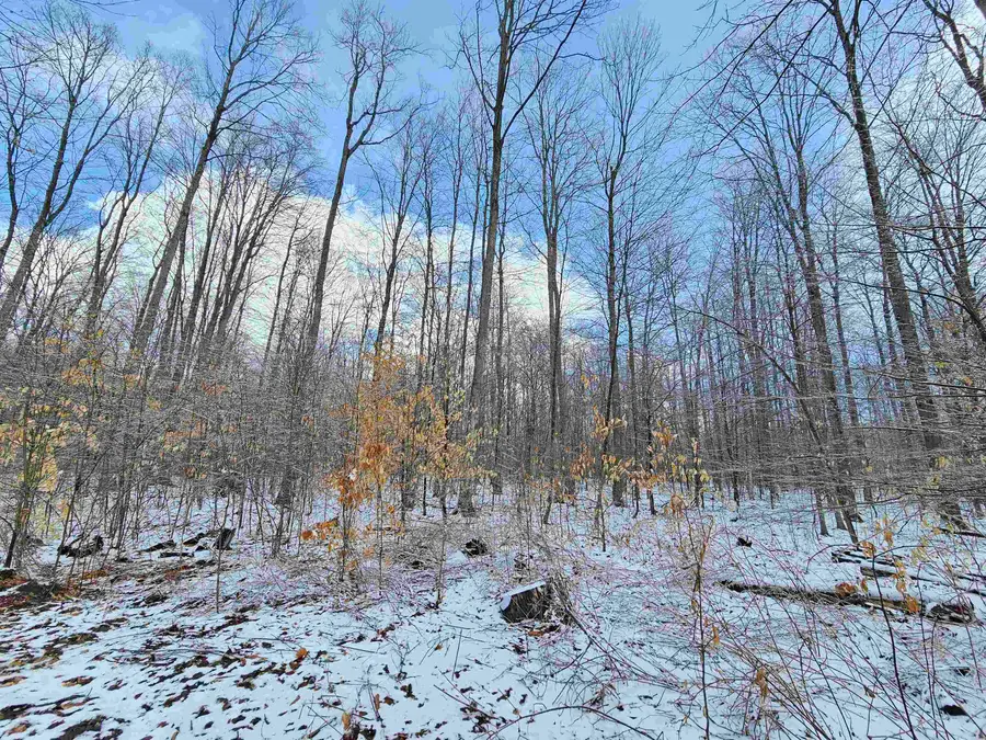361 W Rhoby, Lake City, MI 49651 - #3